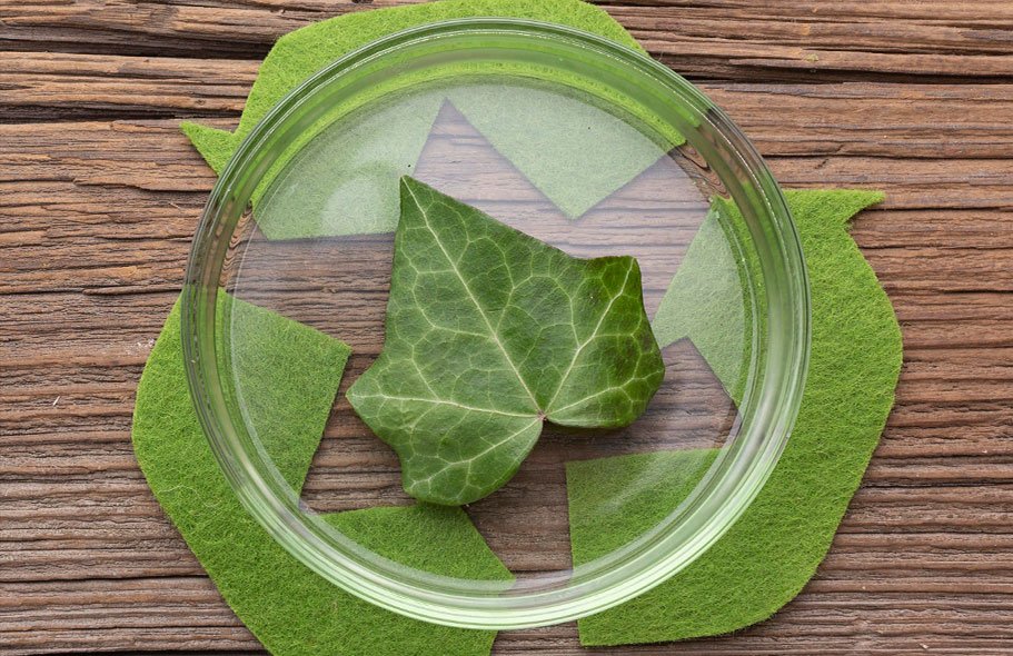 Plásticos Biodegradáveis: A Alternativa Sustentável para um Futuro Melhor